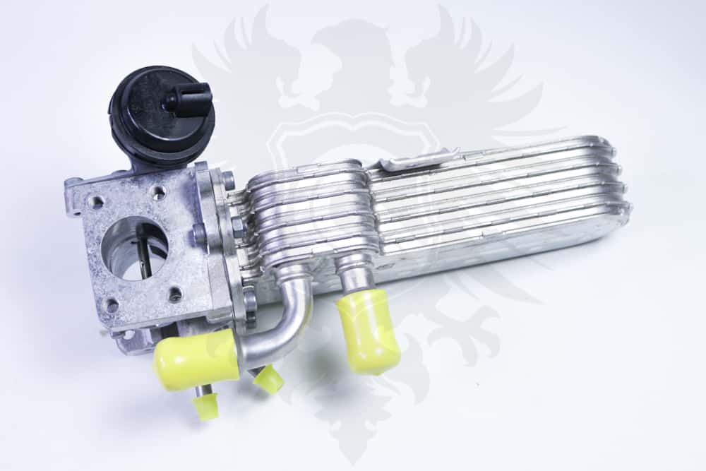 EGR Cooler with Valve, BEW Cascade German Parts